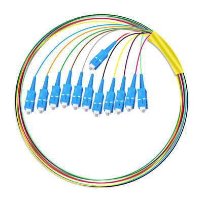 خرید HXCOWO 12 Core SC Bundle Tail Single Mode Telecom Grade Head And Tail Fiber Optic Pigtail ساخت آنلاین